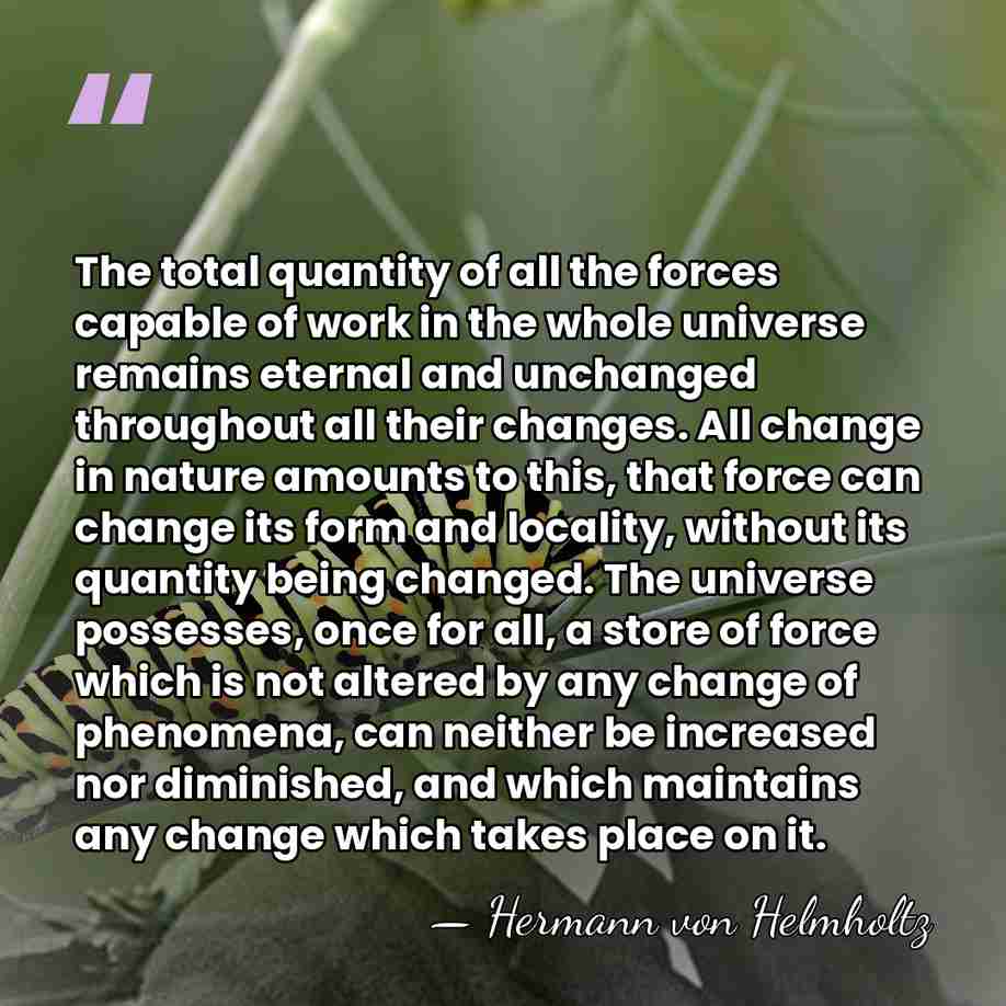 The total quantity of all the forces capable of work in the&hellip; - Hermann von Helmholtz