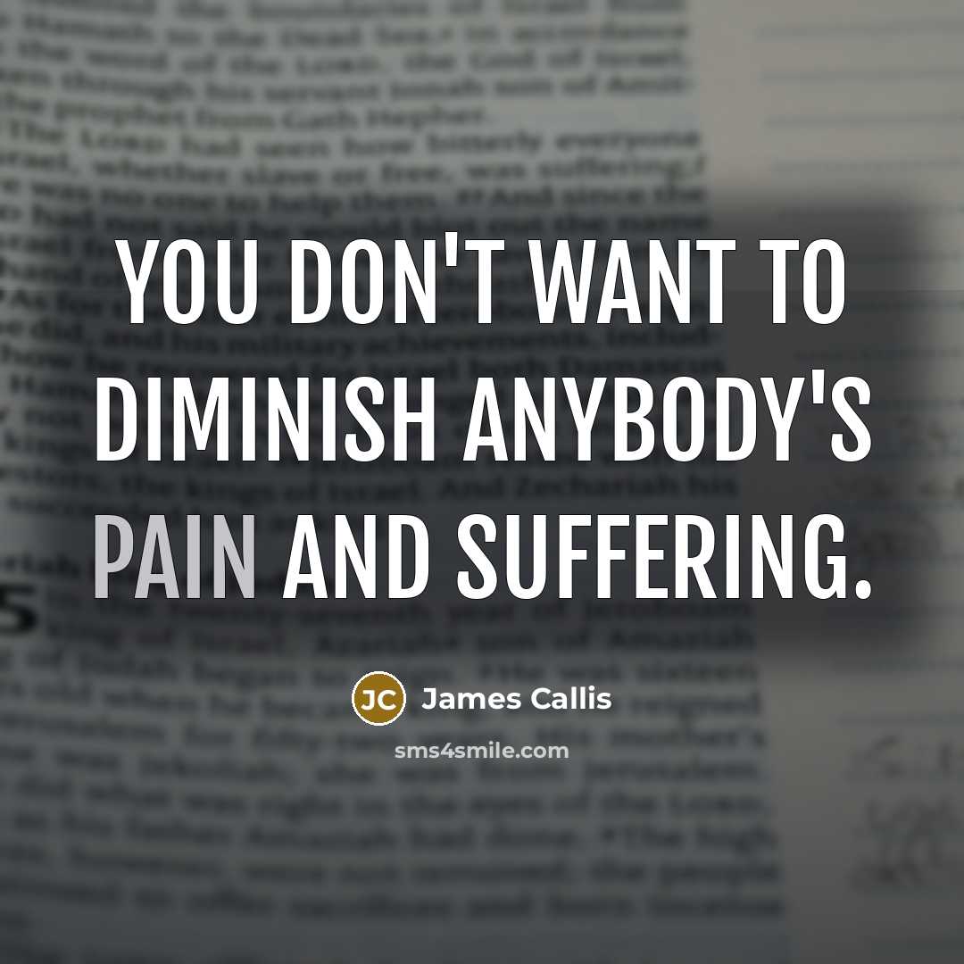 “You don't want to diminish anybody's pain and suffering.…” quote by James Callis