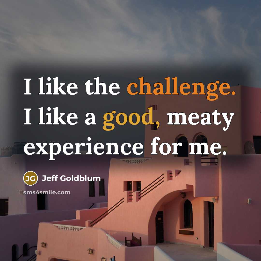 “I like the challenge. I like a good, meaty experience…” quote by Jeff Goldblum