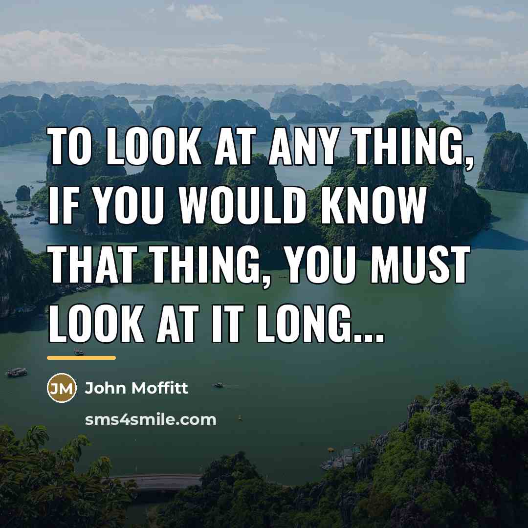 “To look at any thing, If you would know that…” quote by John Moffitt