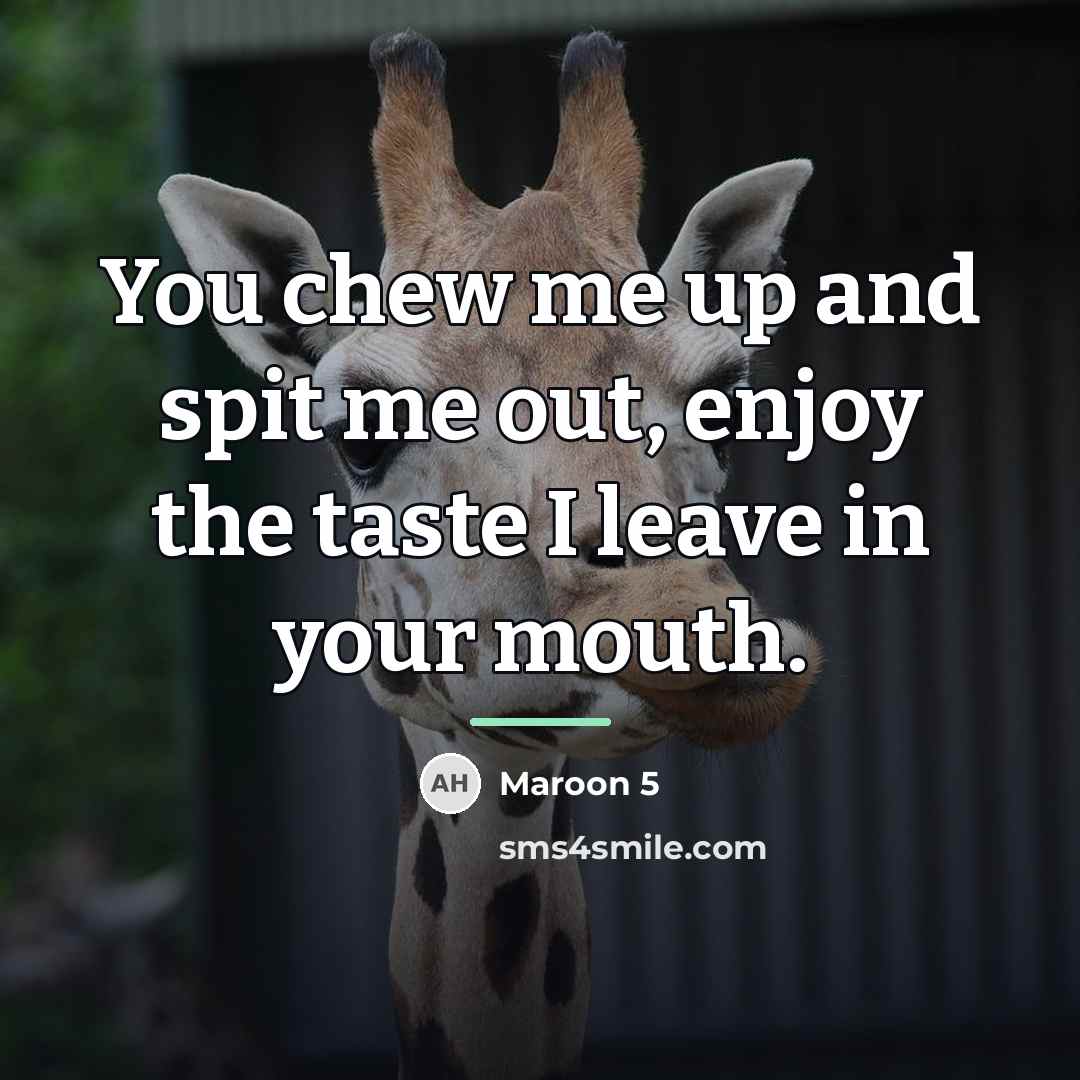 “You chew me up and spit me out, enjoy the…” quote by Maroon 5