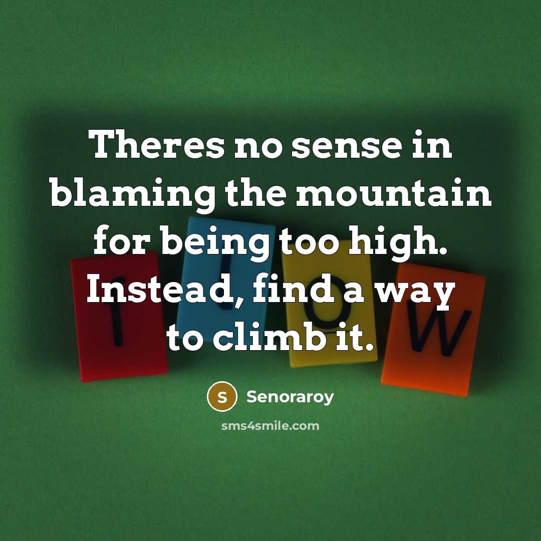 “Theres no sense in blaming the mountain for being too…” quote by Senoraroy