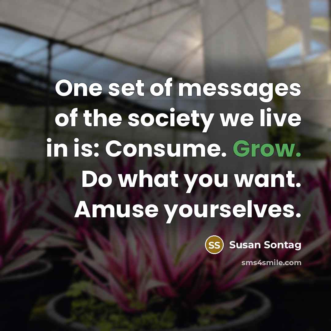 “One set of messages of the society we live in…” quote by Susan Sontag