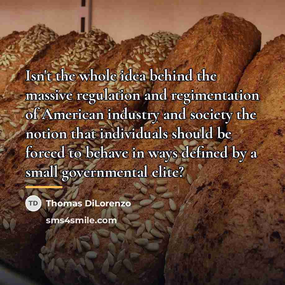 “Isn't the whole idea behind the massive regulation and regimentation…” quote by Thomas DiLorenzo
