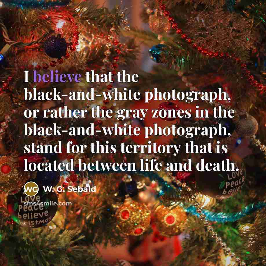 “I believe that the black-and-white photograph, or rather the gray…” quote by W. G. Sebald
