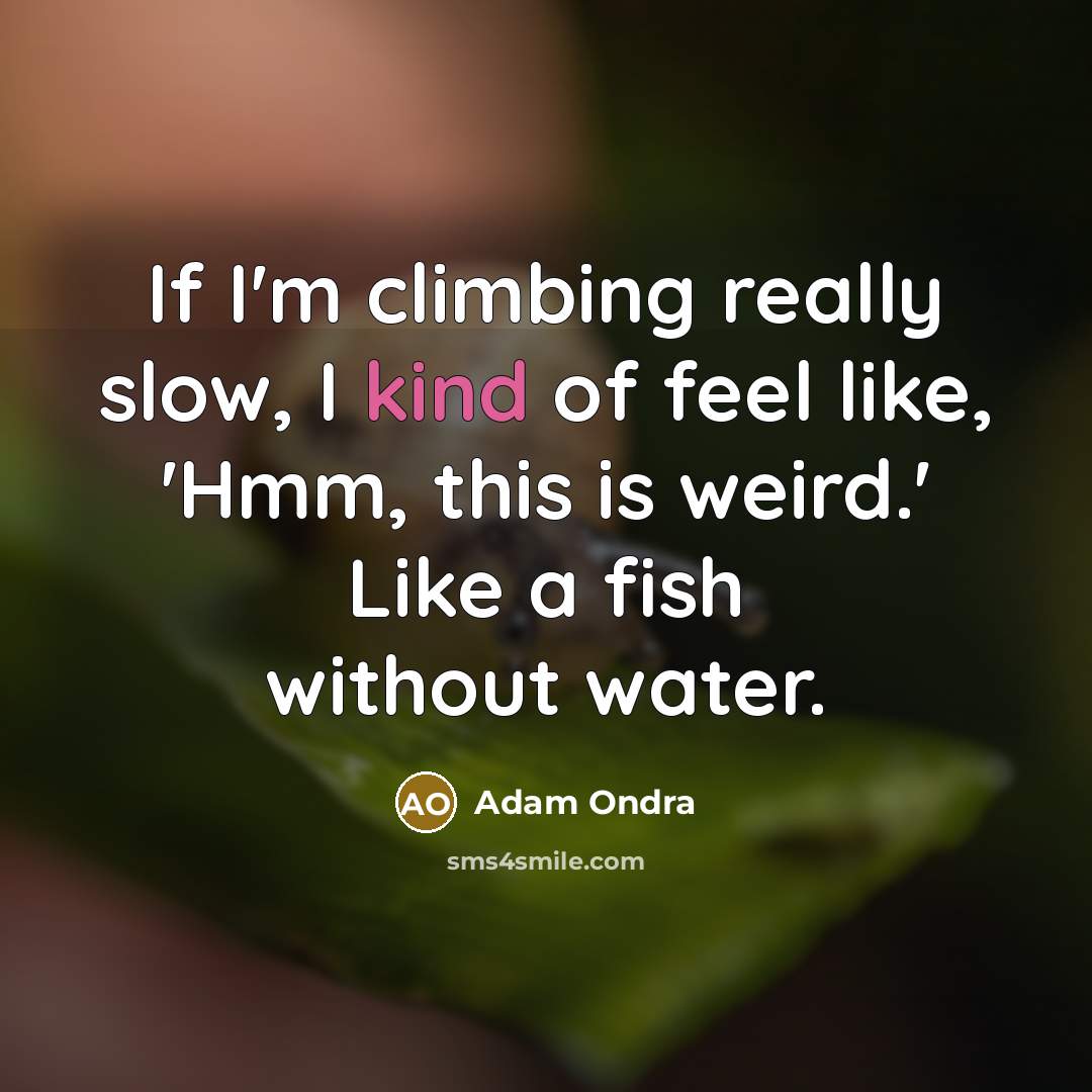 “If I'm climbing really slow, I kind of feel like,…” quote by Adam Ondra