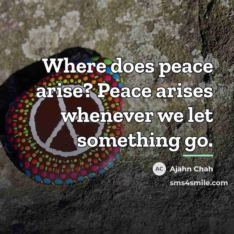 “Where does peace arise? Peace arises whenever we let something…” quote by Ajahn Chah