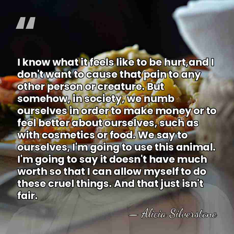 I know what it feels like to be hurt,and I don't want&hellip; - Alicia Silverstone