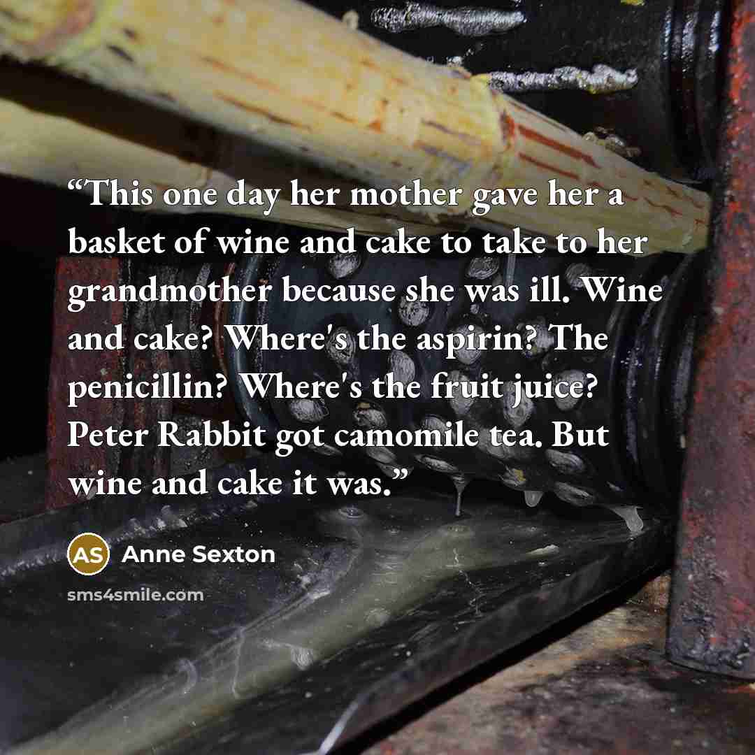 “This one day her mother gave her a basket of wine and cake to take to her grandmother because she was ill. Wine and cake? Where's the aspirin? The penicillin? Where's the fruit juice? Peter Rabbit got camomile tea. But wine and cake it was.” quote by Anne Sexton