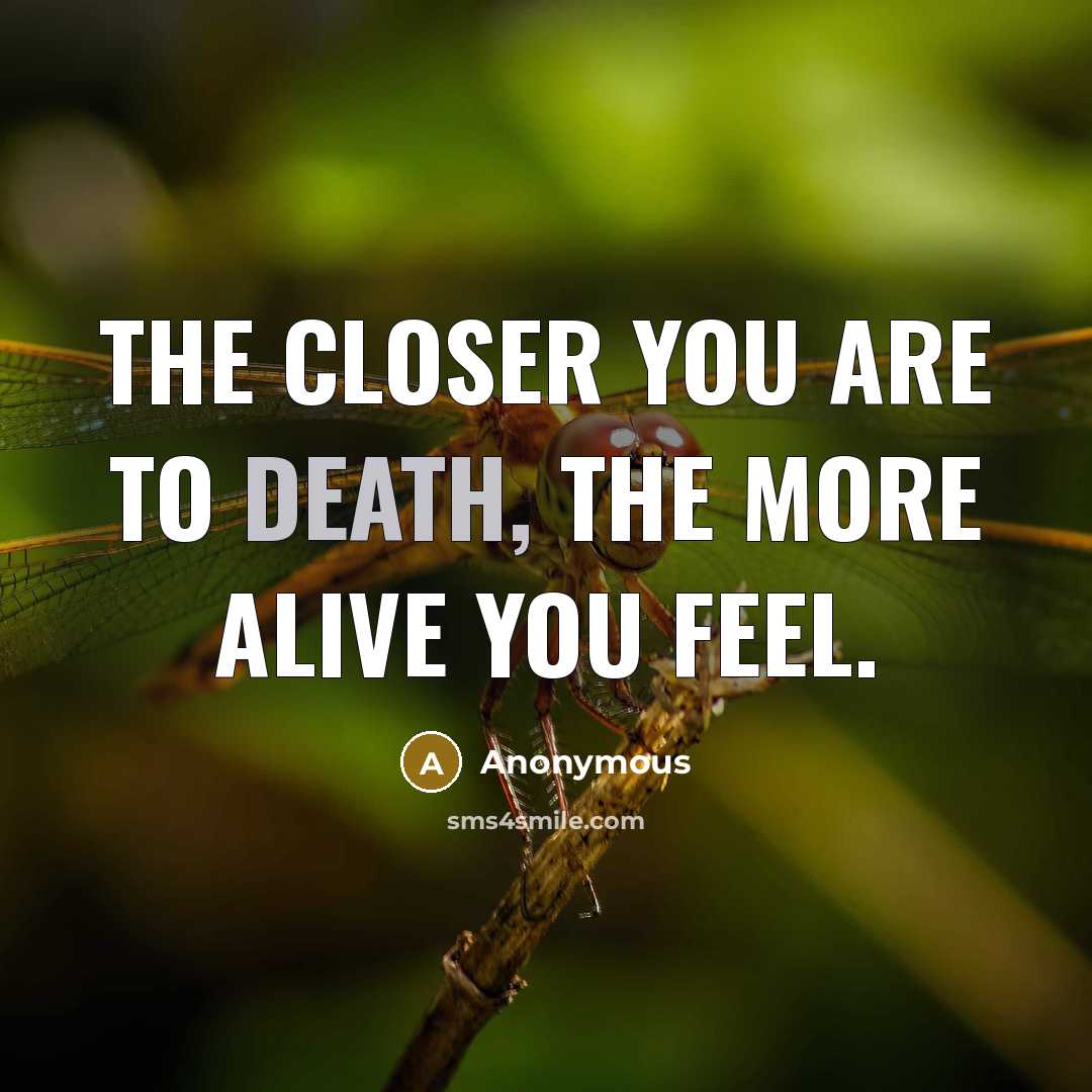 “The closer you are to death, the more alive you…” quote by Anonymous