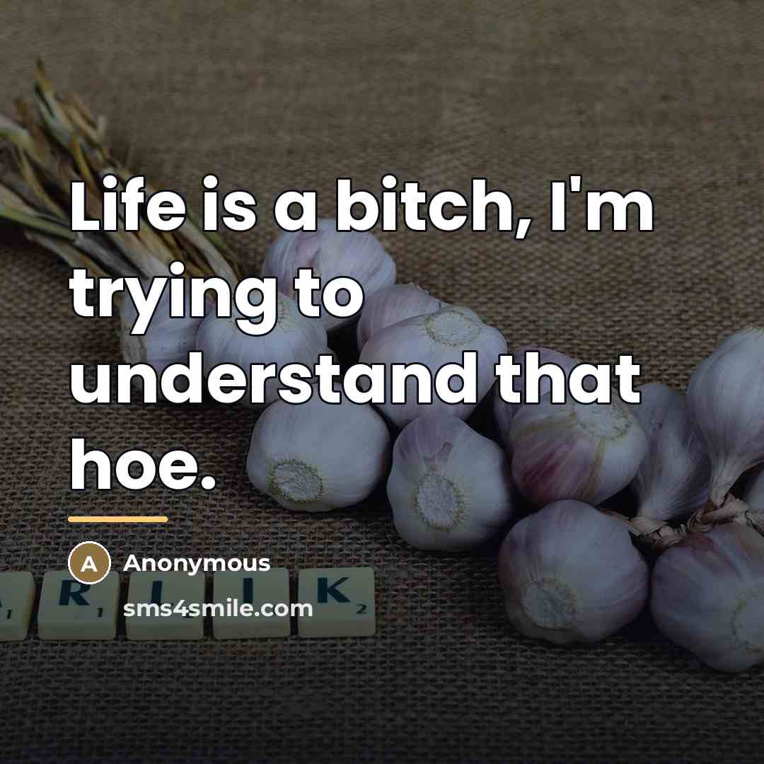 “Life is a bitch, I'm trying to understand that hoe.…” quote by Anonymous