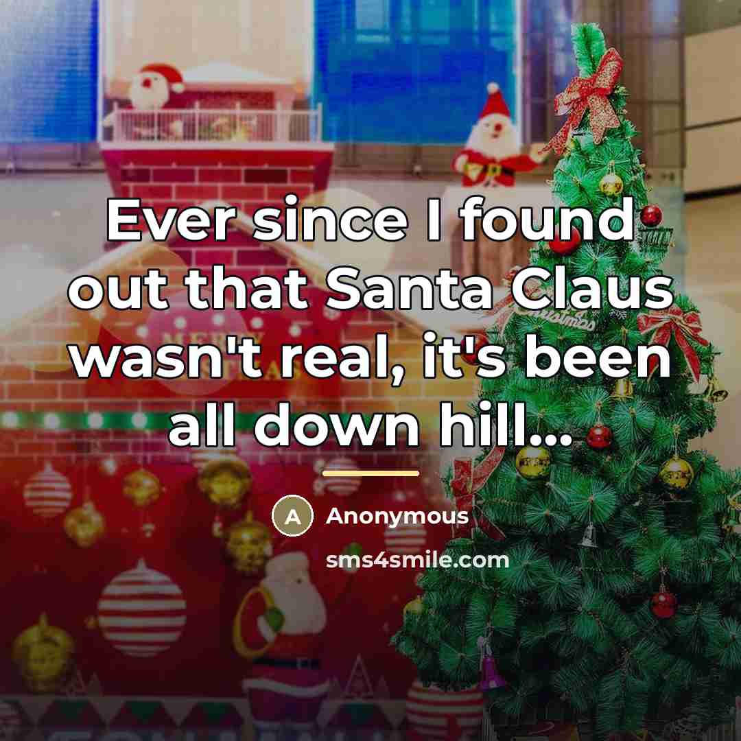 “Ever since I found out that Santa Claus wasn't real,…” quote by Anonymous
