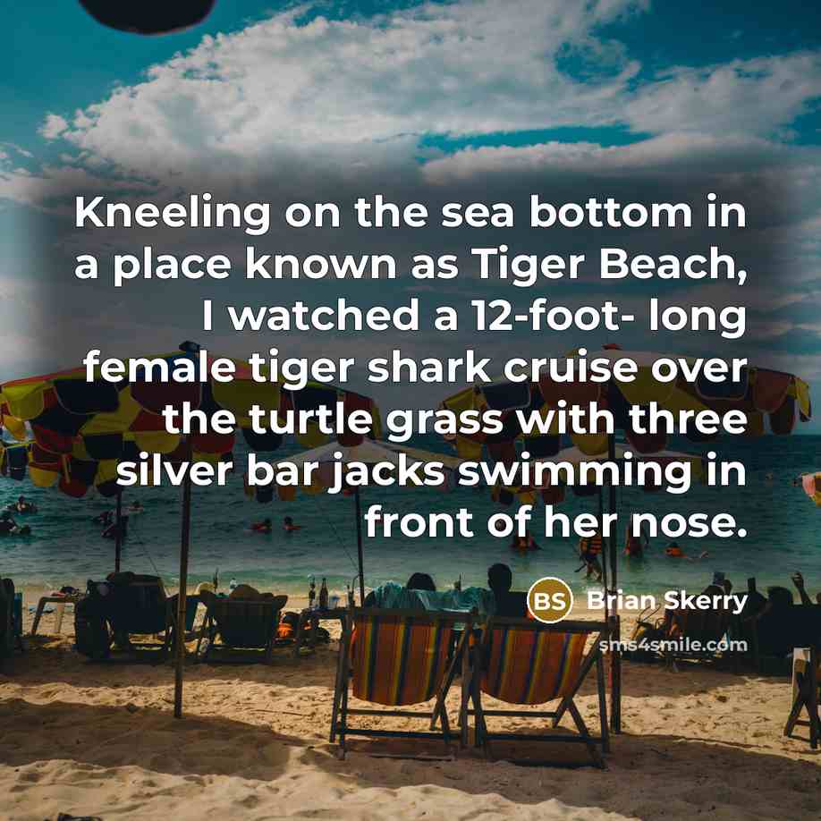 “Kneeling on the sea bottom in a place known as…” quote by Brian Skerry