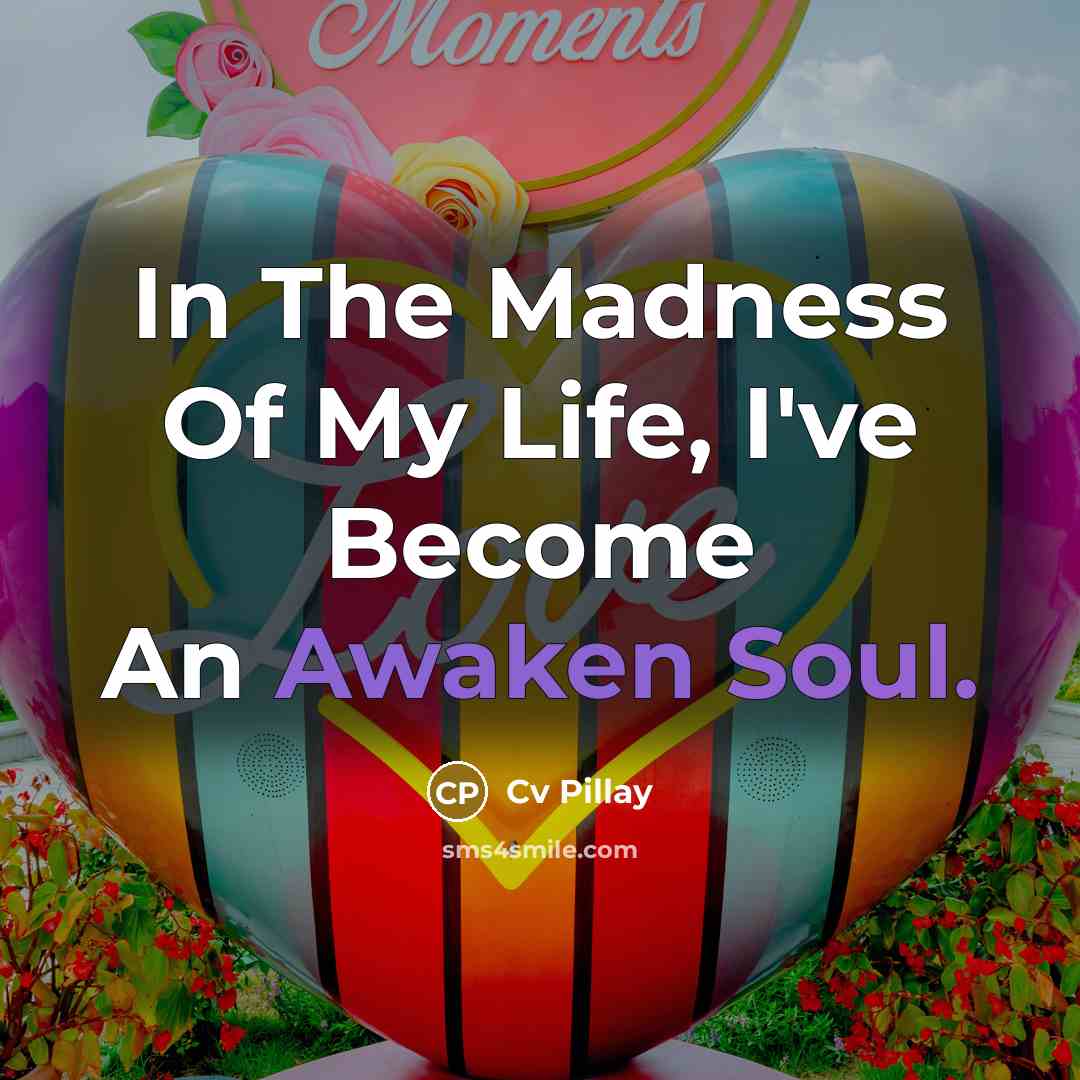 “In The Madness Of My Life, I've Become An Awaken Soul.” quote by Cv Pillay