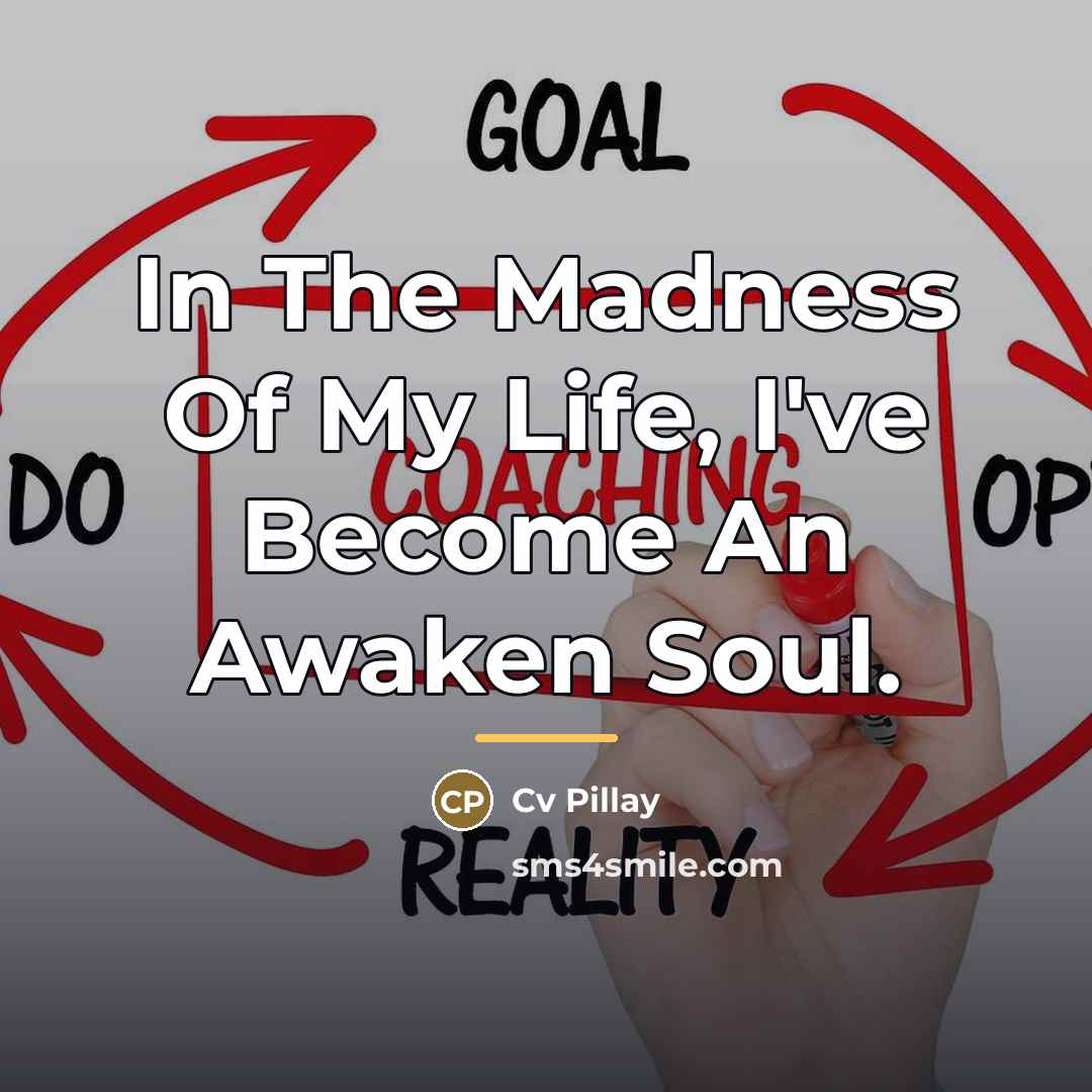 “In The Madness Of My Life, I've Become An Awaken…” quote by Cv Pillay