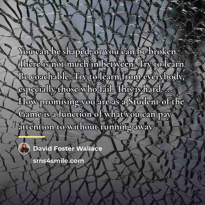 “You can be shaped, or you can be broken. There…” quote by David Foster Wallace