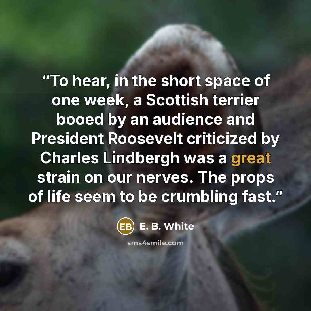 “To hear, in the short space of one week, a Scottish terrier booed by an audience and President Roosevelt criticized by Charles Lindbergh was a great strain on our nerves. The props of life seem to be crumbling fast.” quote by E. B. White