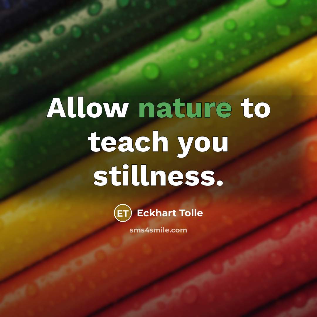 “Allow nature to teach you stillness.…” quote by Eckhart Tolle