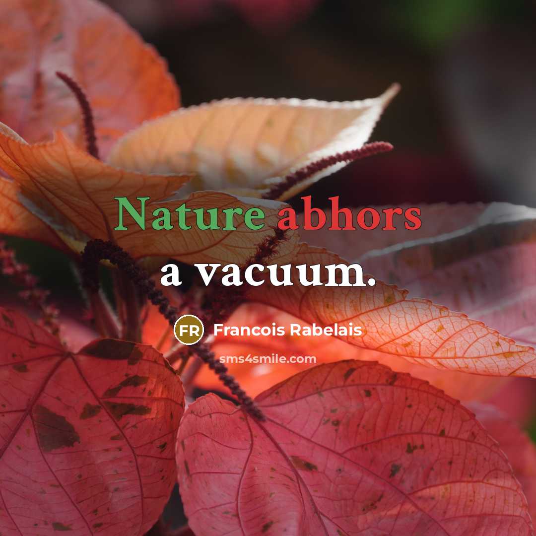 “Nature abhors a vacuum.” quote by Francois Rabelais