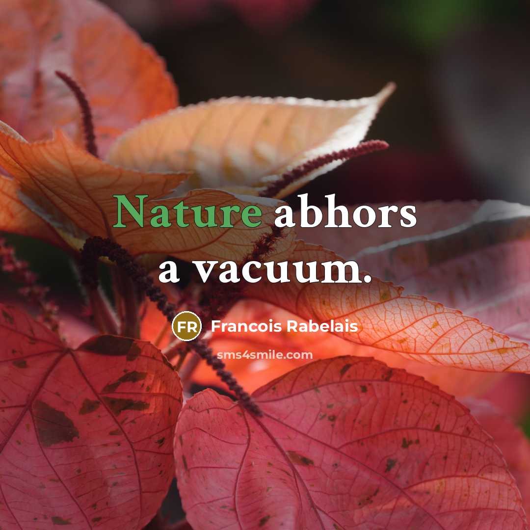 “Nature abhors a vacuum.…” quote by Francois Rabelais
