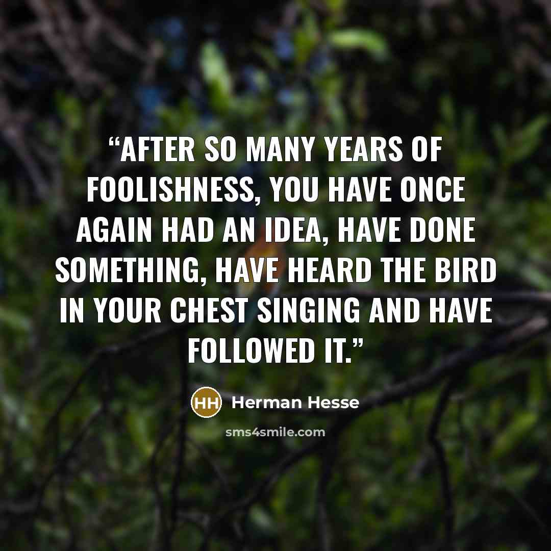 “After so many years of foolishness, you have once again had an idea, have done something, have heard the bird in your chest singing and have followed it.” quote by Herman Hesse