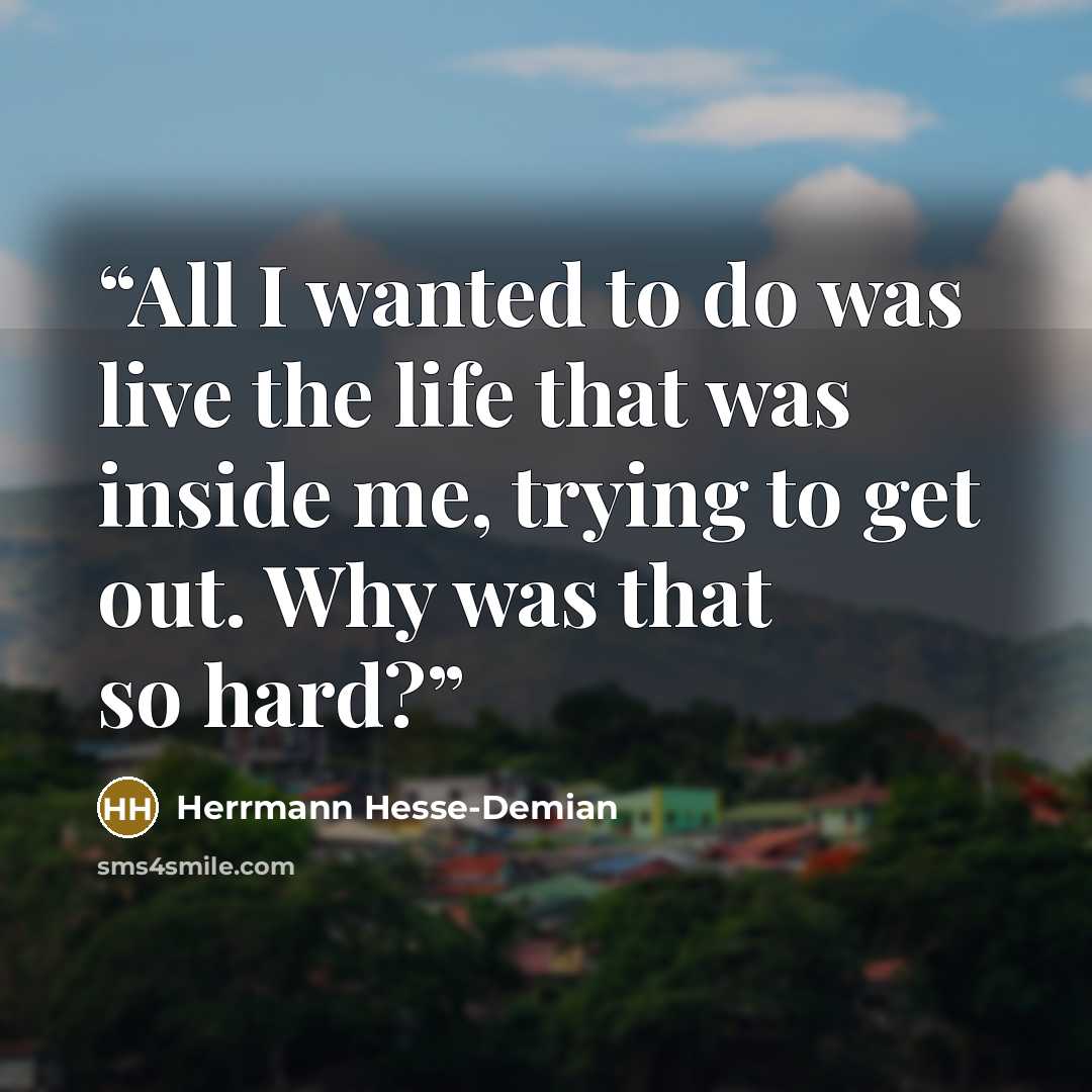 “All I wanted to do was live the life that was inside me, trying to get out. Why was that so hard?” quote by Herrmann Hesse-Demian