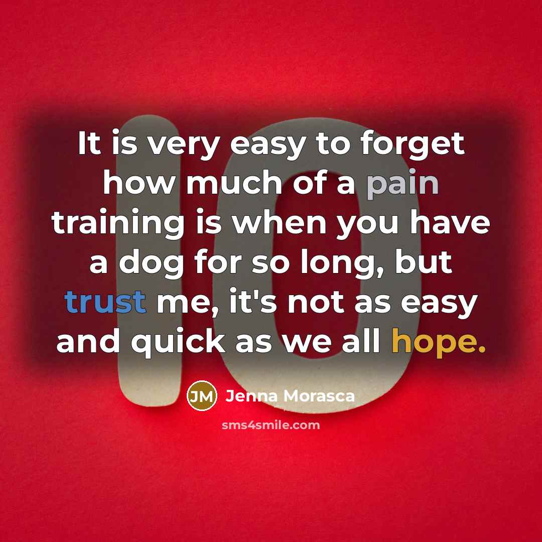 “It is very easy to forget how much of a…” quote by Jenna Morasca