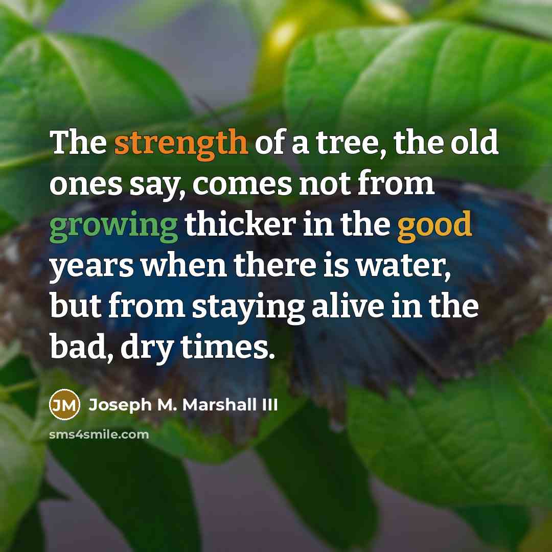 “The strength of a tree, the old ones say, comes…” quote by Joseph M. Marshall III