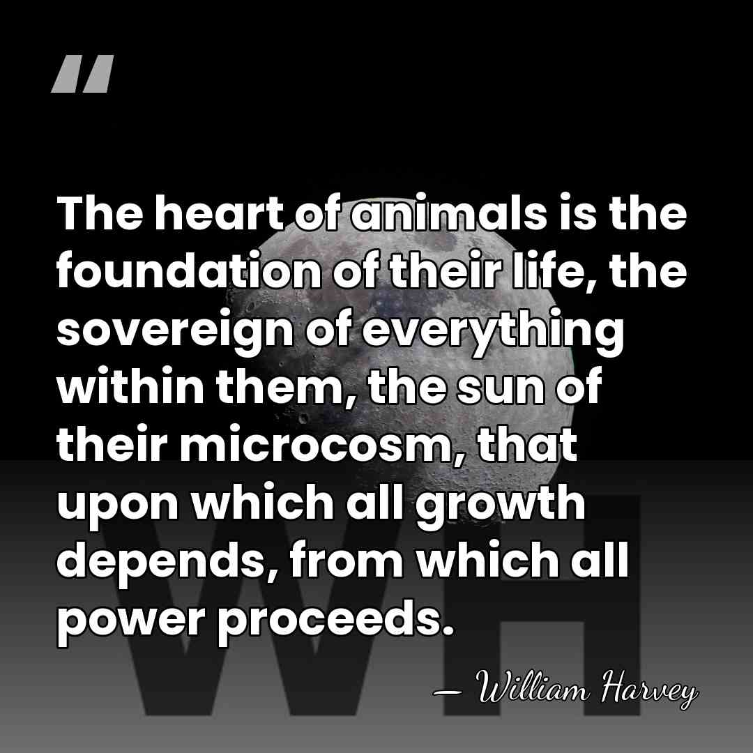 The heart of animals is the foundation of their life, the sovereign&hellip; - William Harvey