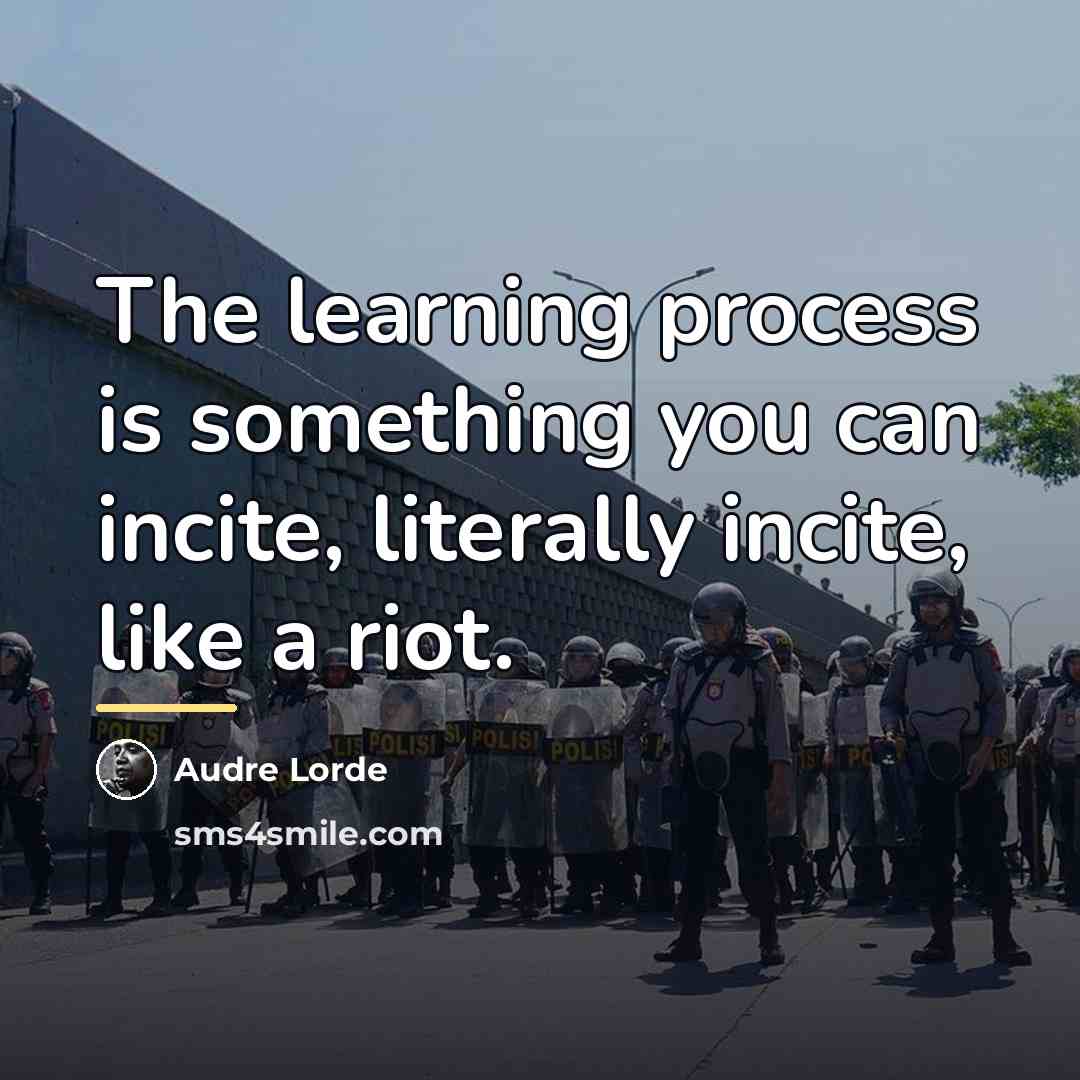 “The learning process is something you can incite, literally incite,…” quote by Audre Lorde