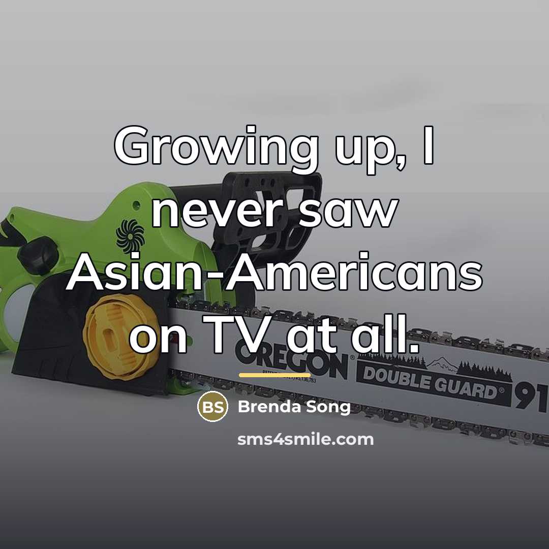 “Growing up, I never saw Asian-Americans on TV at all.…” quote by Brenda Song