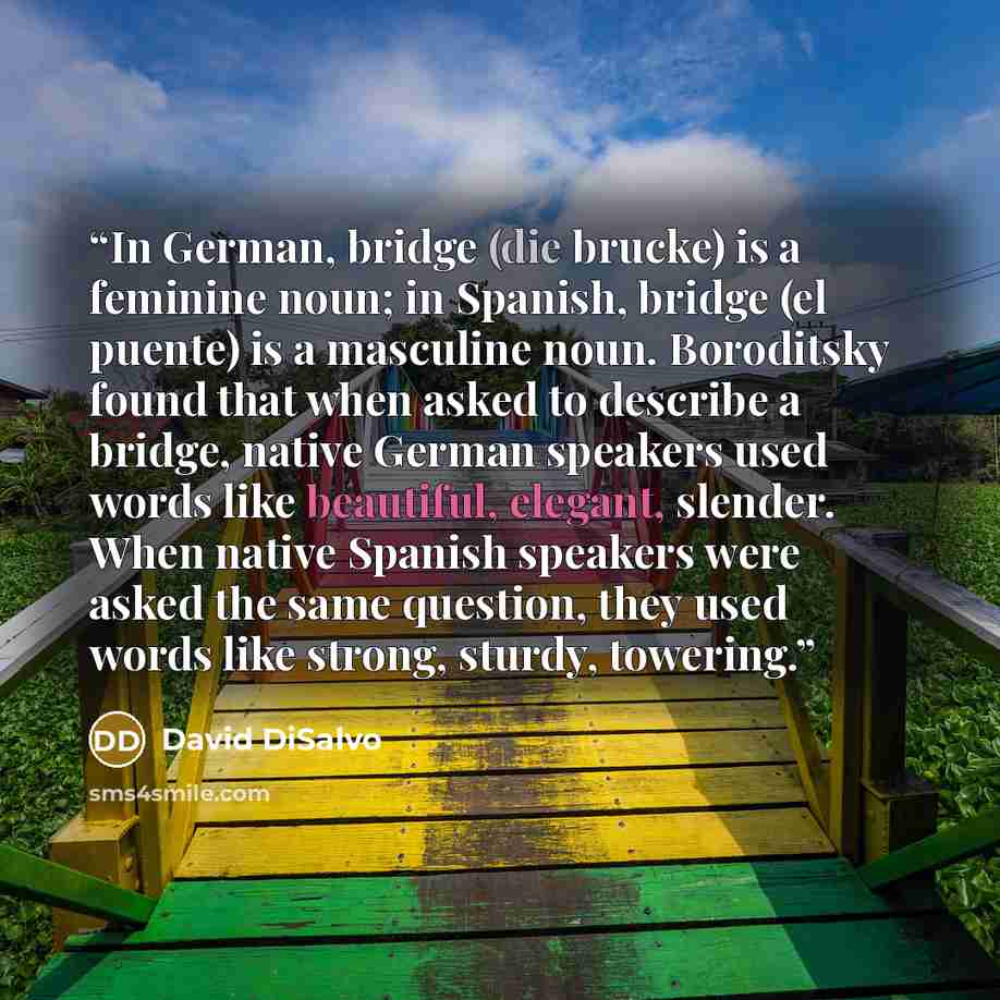 “In German, bridge (die brucke) is a feminine noun; in Spanish, bridge (el puente) is a masculine noun. Boroditsky found that when asked to describe a bridge, native German speakers used words like beautiful, elegant, slender. When native Spanish speakers were asked the same question, they used…” quote by David DiSalvo