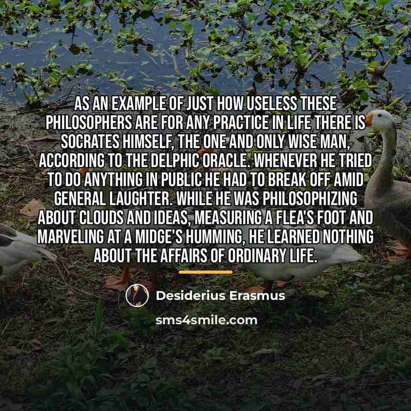 “As an example of just how useless these philosophers are…” quote by Desiderius Erasmus