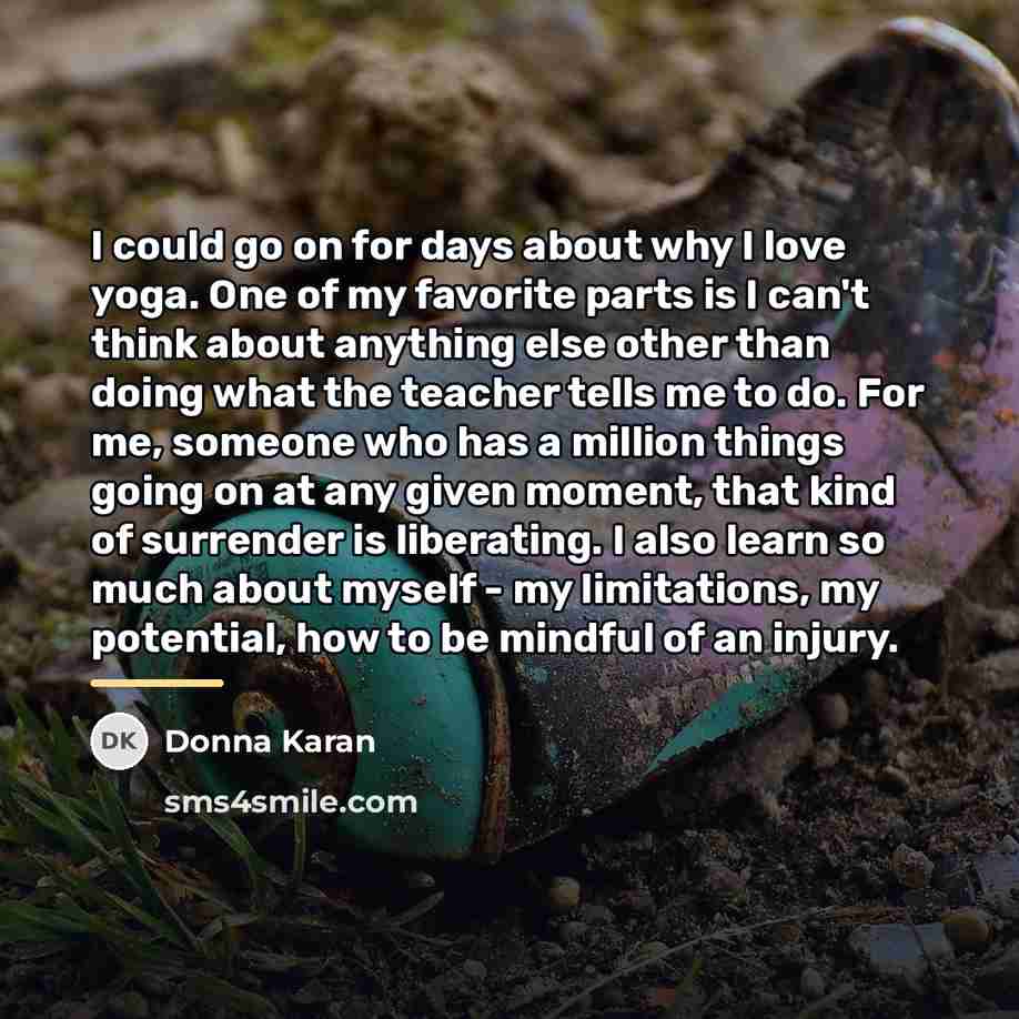 “I could go on for days about why I love…” quote by Donna Karan