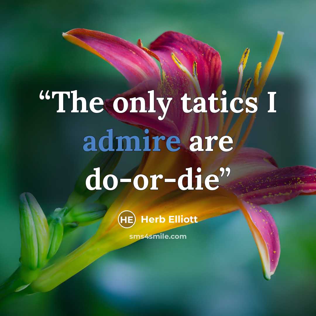 “The only tatics I admire are do-or-die” quote by Herb Elliott