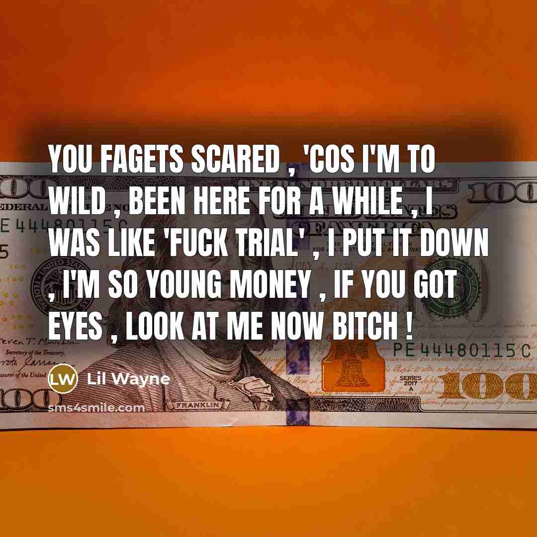 “You fagets scared , 'cos I'm to wild , been here for a while , I was like 'Fuck Trial' , I put it down , I'm so young money , if you got eyes , look at me now bitch !” quote by Lil Wayne