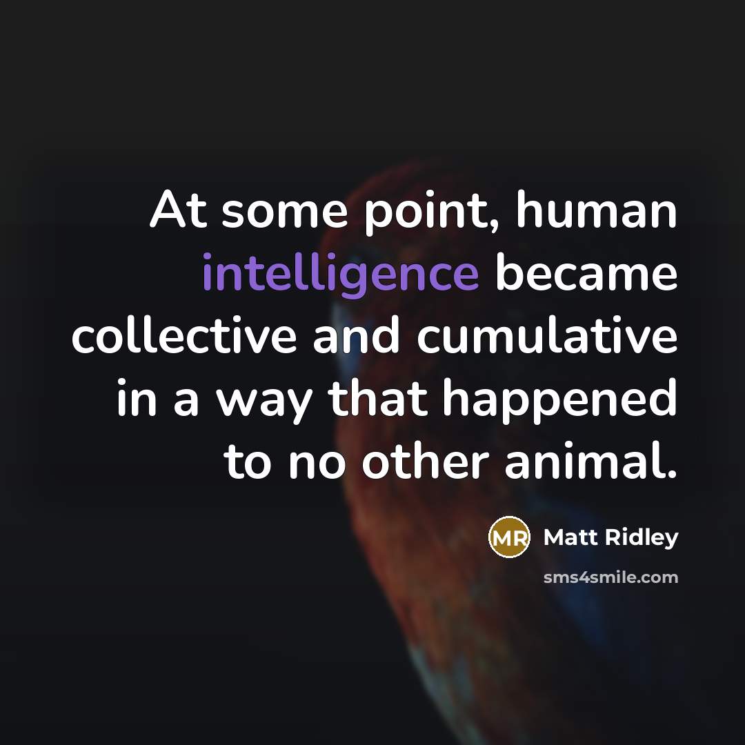 “At some point, human intelligence became collective and cumulative in…” quote by Matt Ridley
