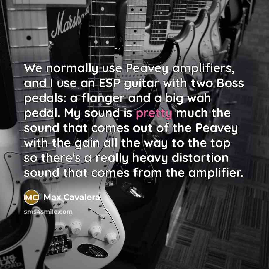 “We normally use Peavey amplifiers, and I use an ESP…” quote by Max Cavalera