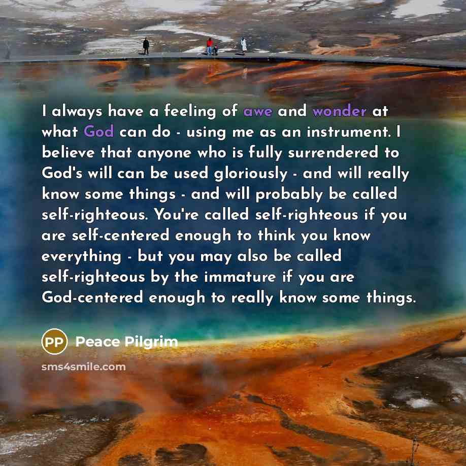 “I always have a feeling of awe and wonder at…” quote by Peace Pilgrim