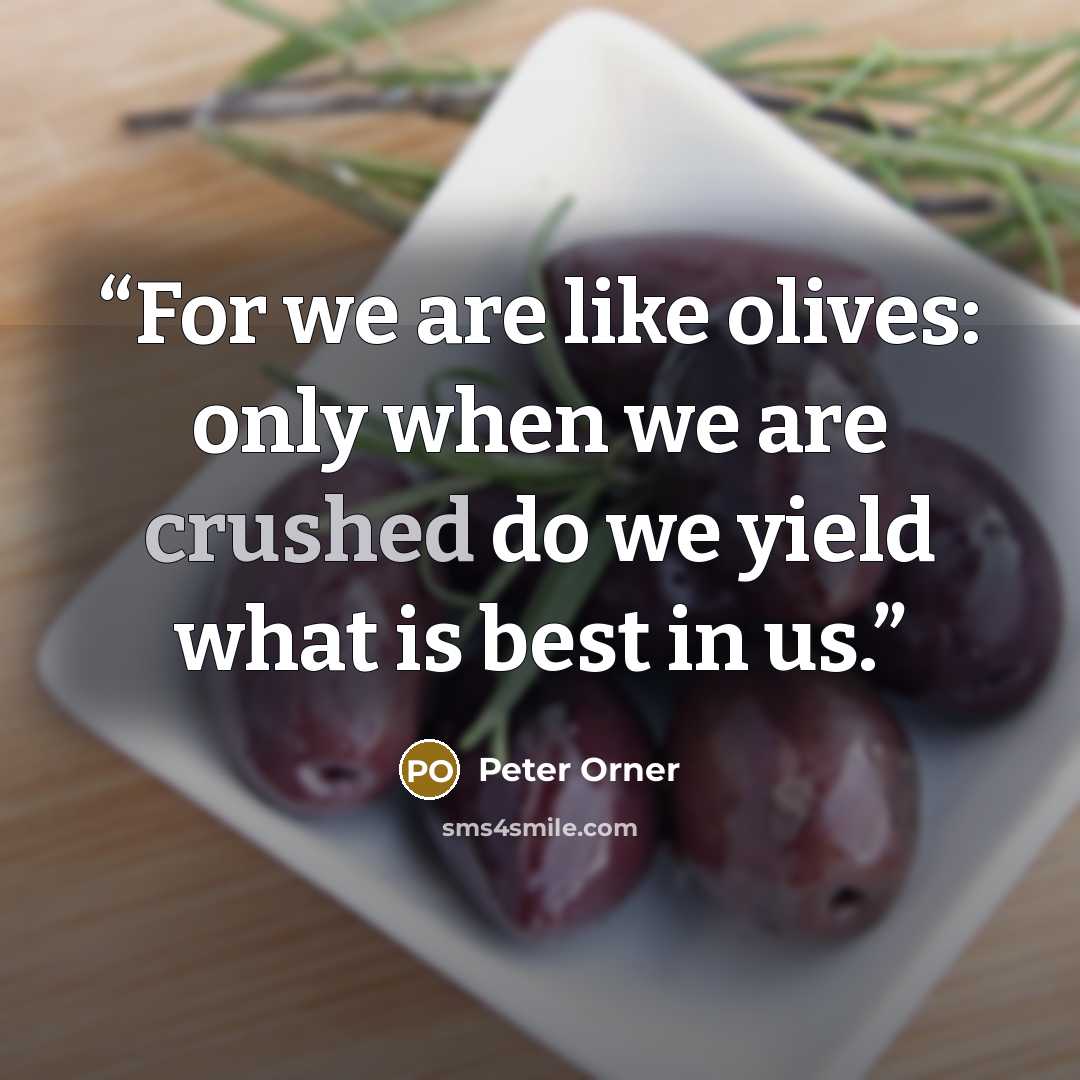“For we are like olives: only when we are crushed do we yield what is best in us.” quote by Peter Orner