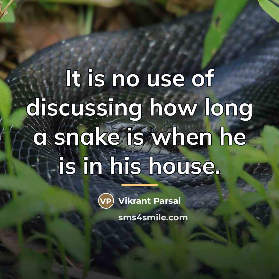 “It is no use of discussing how long a snake…” quote by Vikrant Parsai
