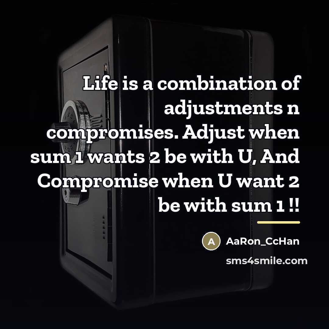 “Life is a combination of adjustments n compromises. Adjust when…” quote by AaRon_CcHan