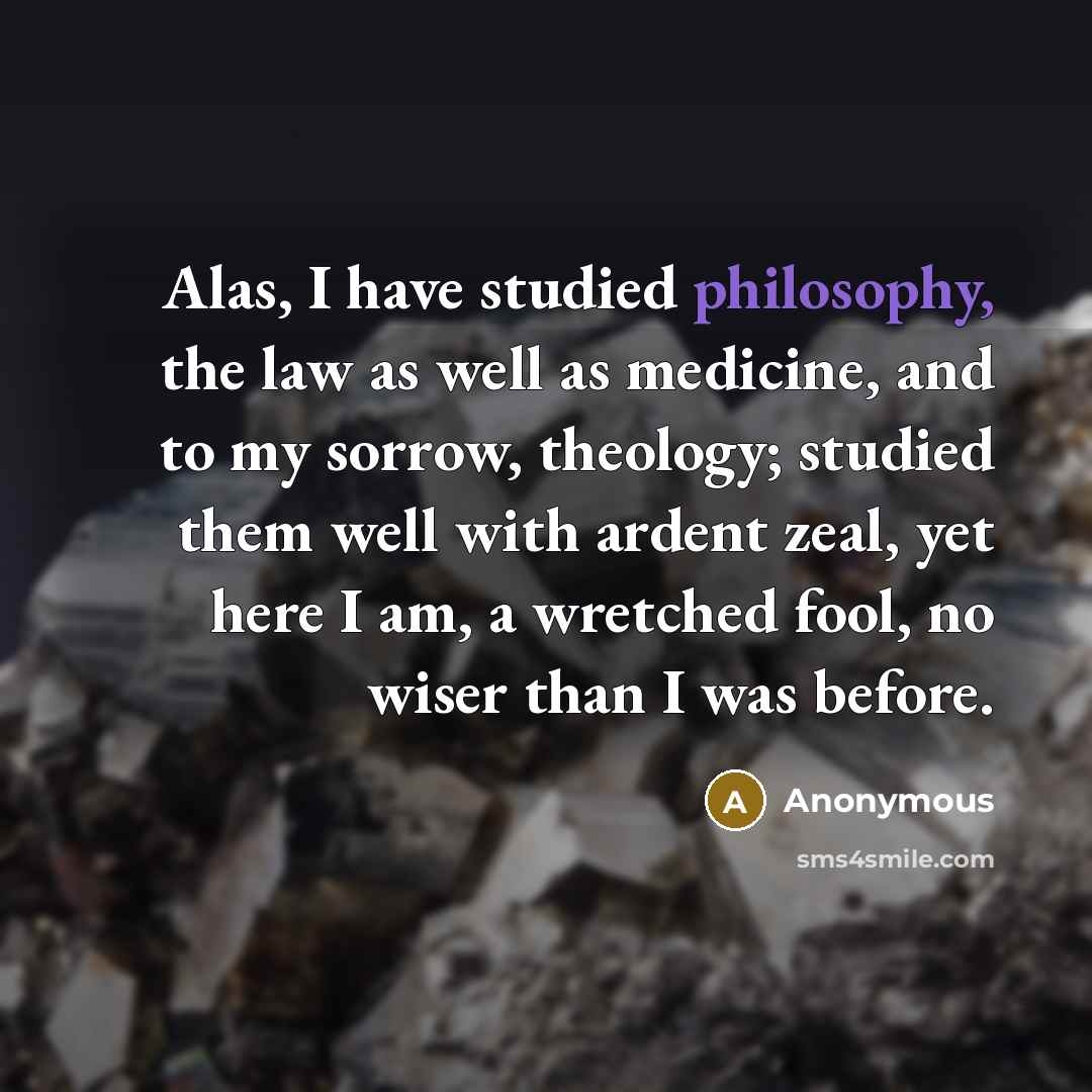 “Alas, I have studied philosophy, the law as well as…” quote by Anonymous