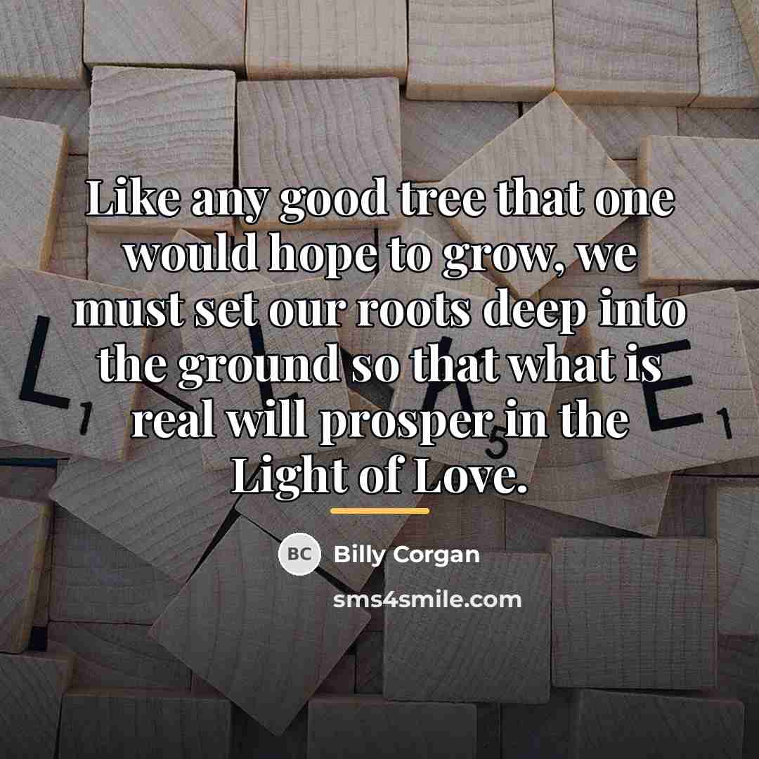 “Like any good tree that one would hope to grow,…” quote by Billy Corgan