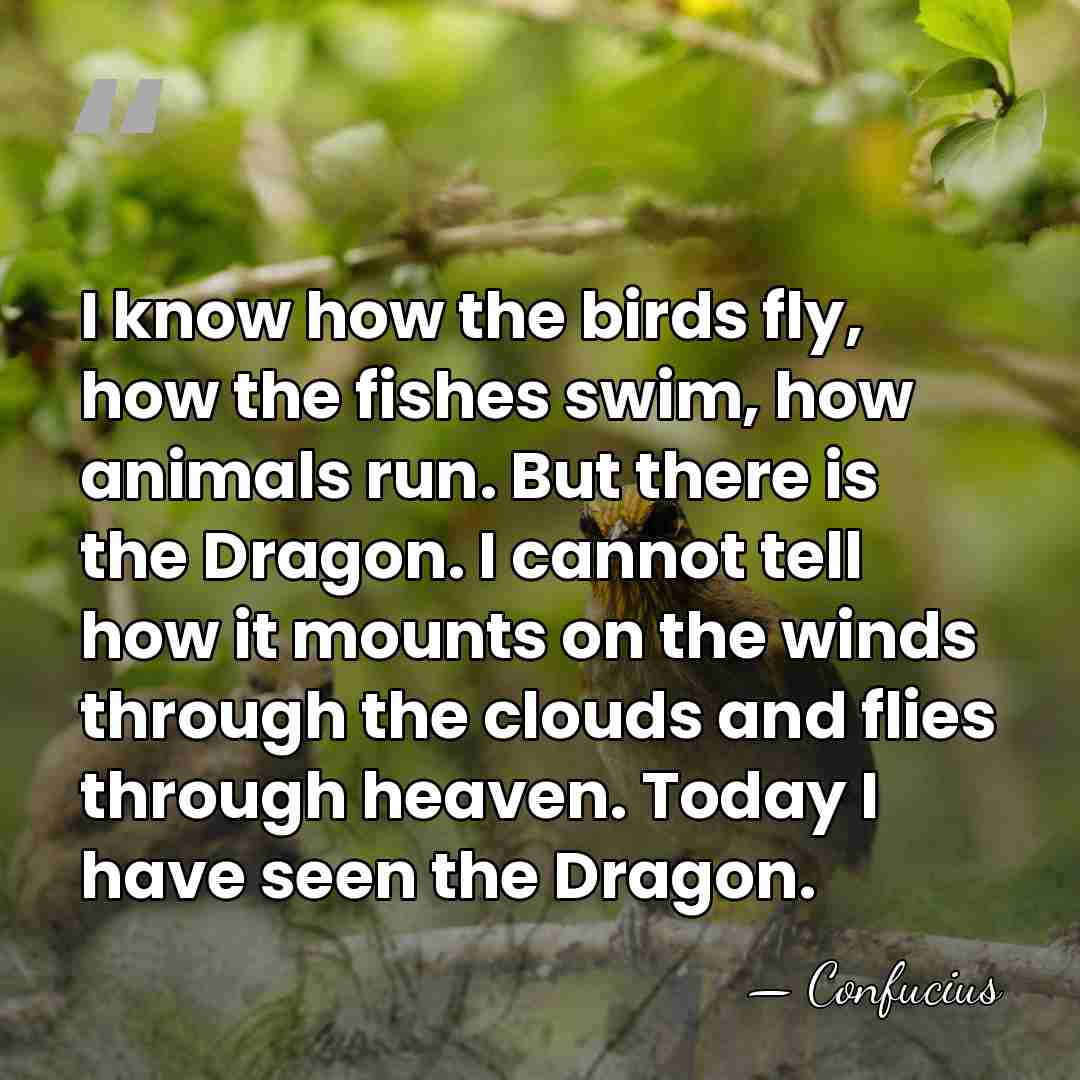 I know how the birds fly, how the fishes swim, how animals&hellip; - Confucius