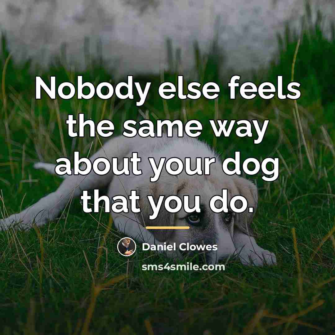 “Nobody else feels the same way about your dog that…” quote by Daniel Clowes