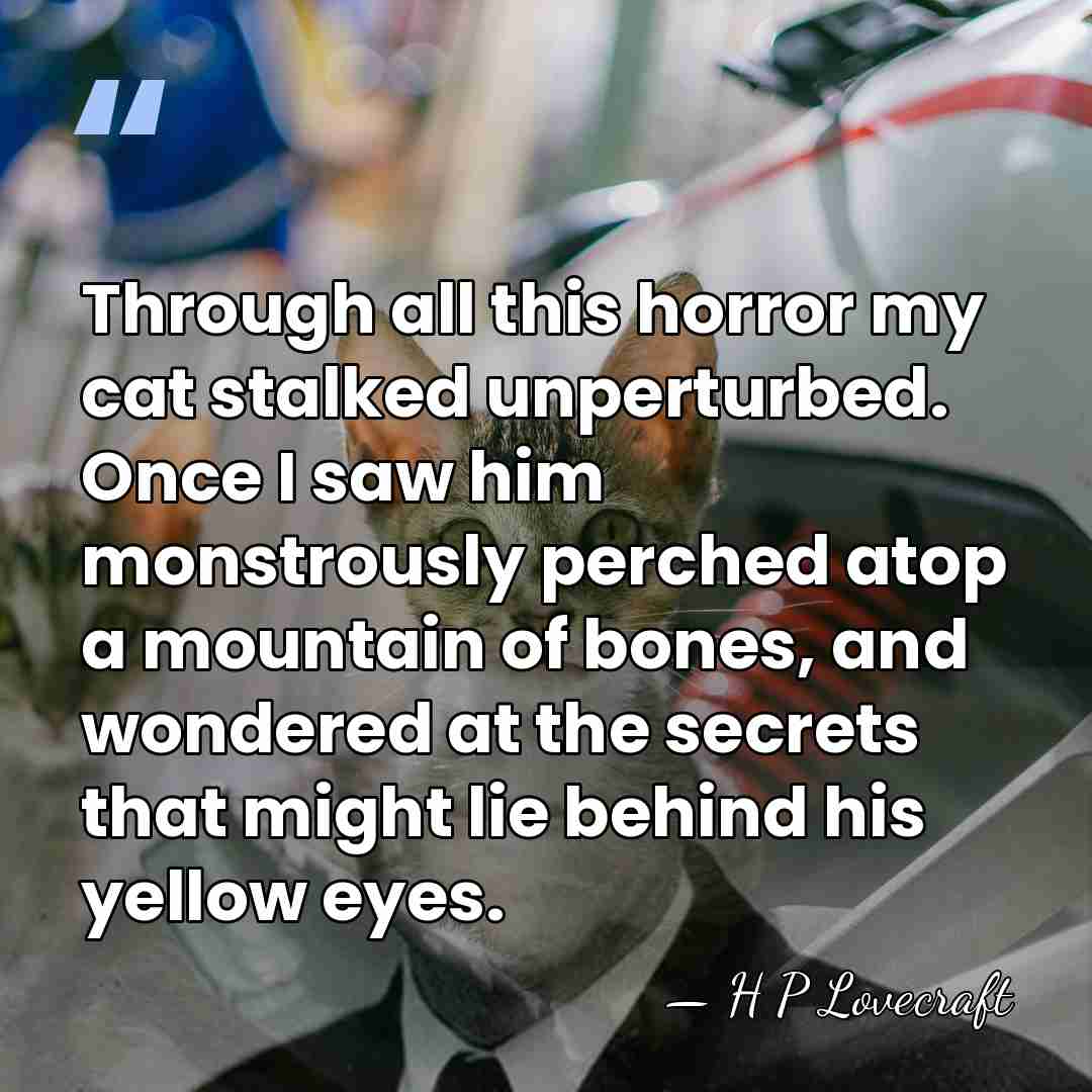 Through all this horror my cat stalked unperturbed. Once I saw him&hellip; - H P Lovecraft