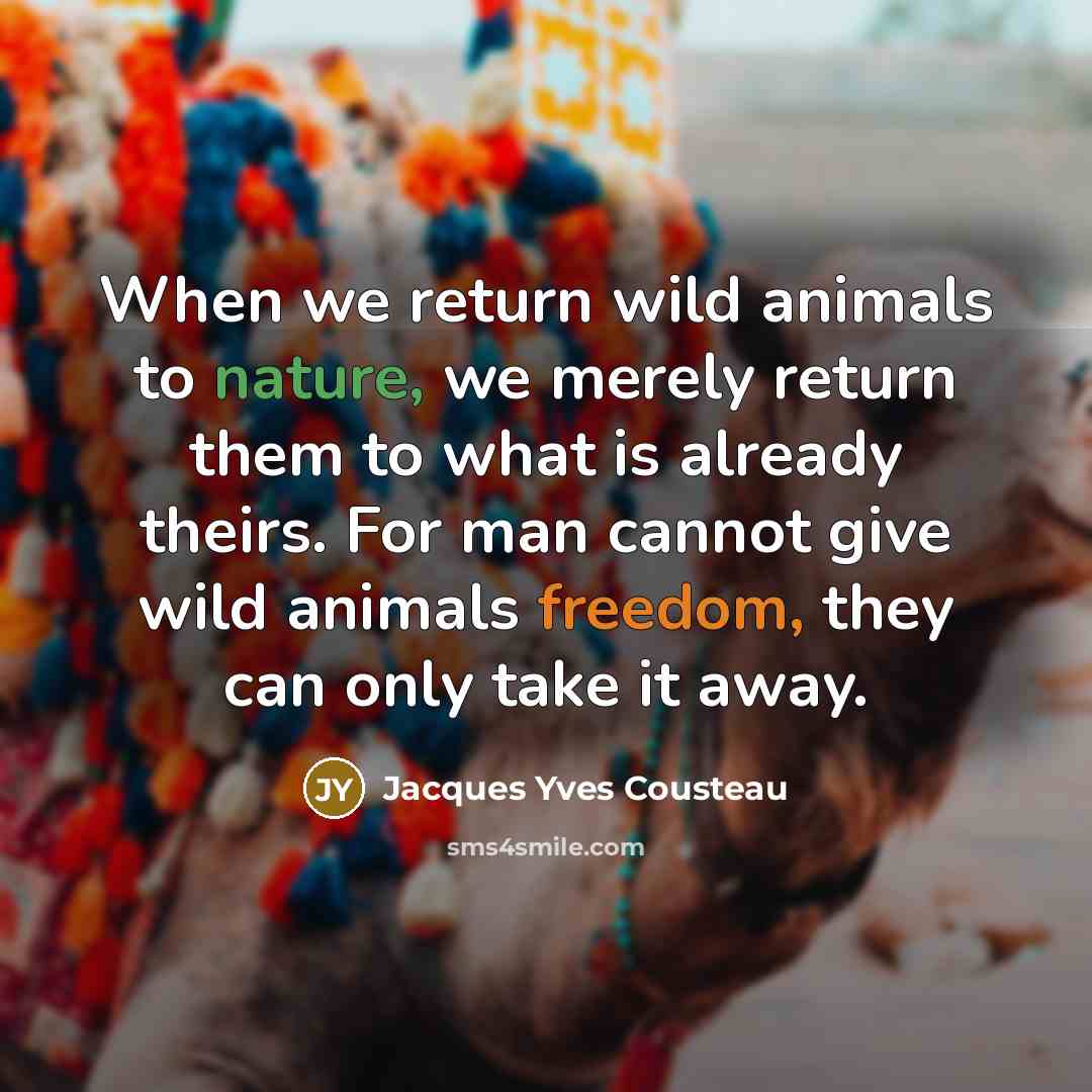 “When we return wild animals to nature, we merely return…” quote by Jacques Yves Cousteau