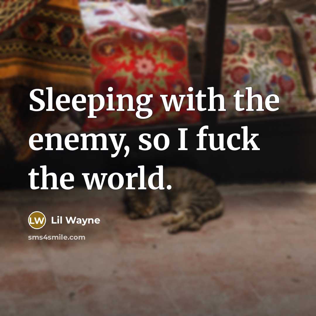 “Sleeping with the enemy, so I fuck the world.” quote by Lil Wayne