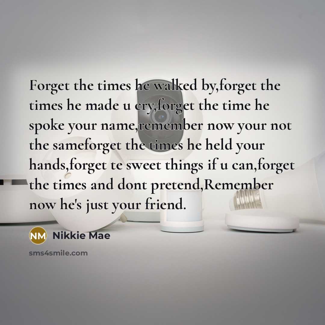 “Forget the times he walked by,forget the times he made u cry,forget the time he spoke your name,remember now your not the sameforget the times he held your hands,forget te sweet things if u can,forget the times and dont pretend,Remember now he's just your friend.” quote by Nikkie Mae